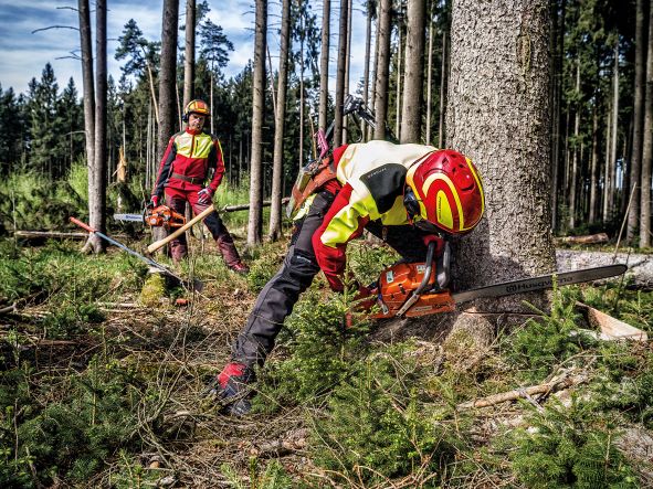 Pfanner in Action mit Husqvarna Säge Pfanner in Action mit Husqvarna Säge