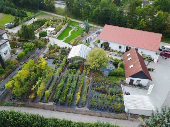 Pflanzen für Garten und Balkon kaufen bei STEIB in Roth