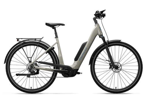 Trekking Plus Wave - 50 cm - Intuvia 100 / 10RD / XCR 34 - natural grey