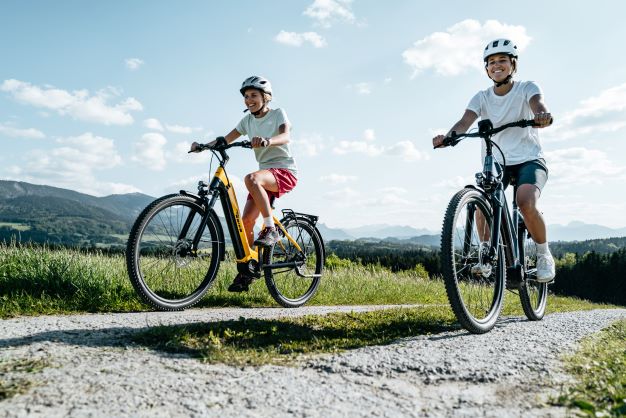 Advanced_E-Bikes_Trekking_Tour_City_steib_heideck