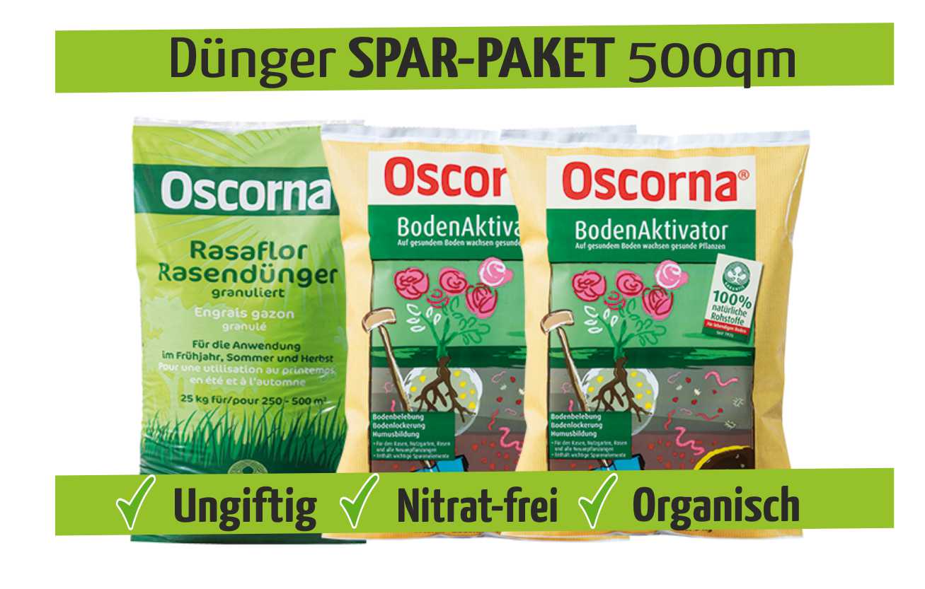 Oscorna Set 500qm - 2x Bodenaktivator 25kg + Rasaflor granuliert 25kg