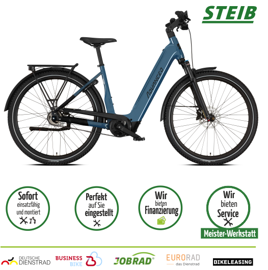 Trekking Pro X Wave - 55cm - XT Schaltung - 750 Wh - 85Nm - blaugrau - E-Bike 